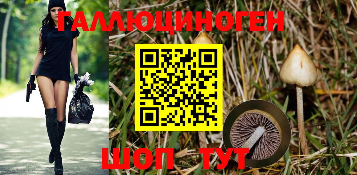 Галлюциногенные грибы Magic Shrooms Люберцы
